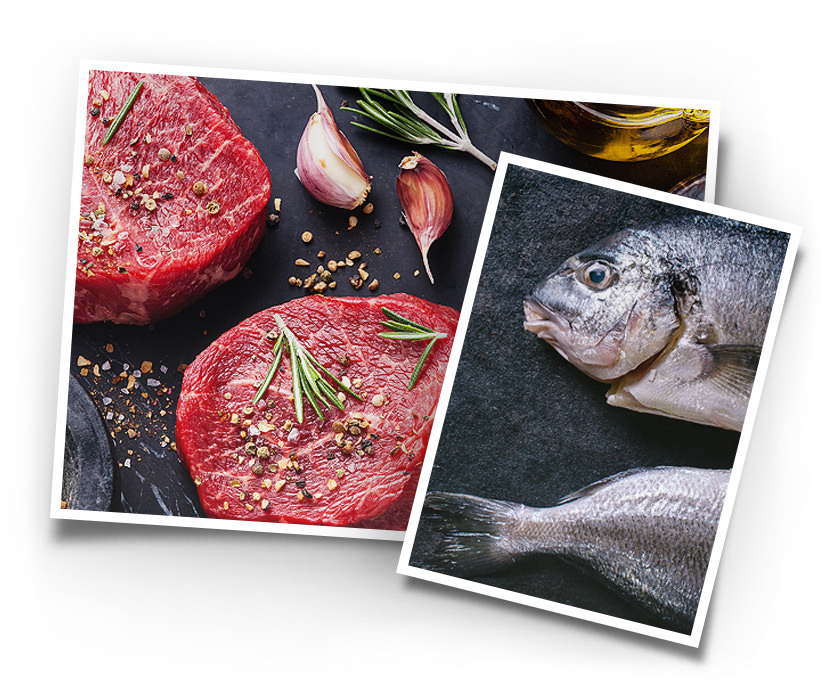 Über die Qualität von Fisch und Fleisch
